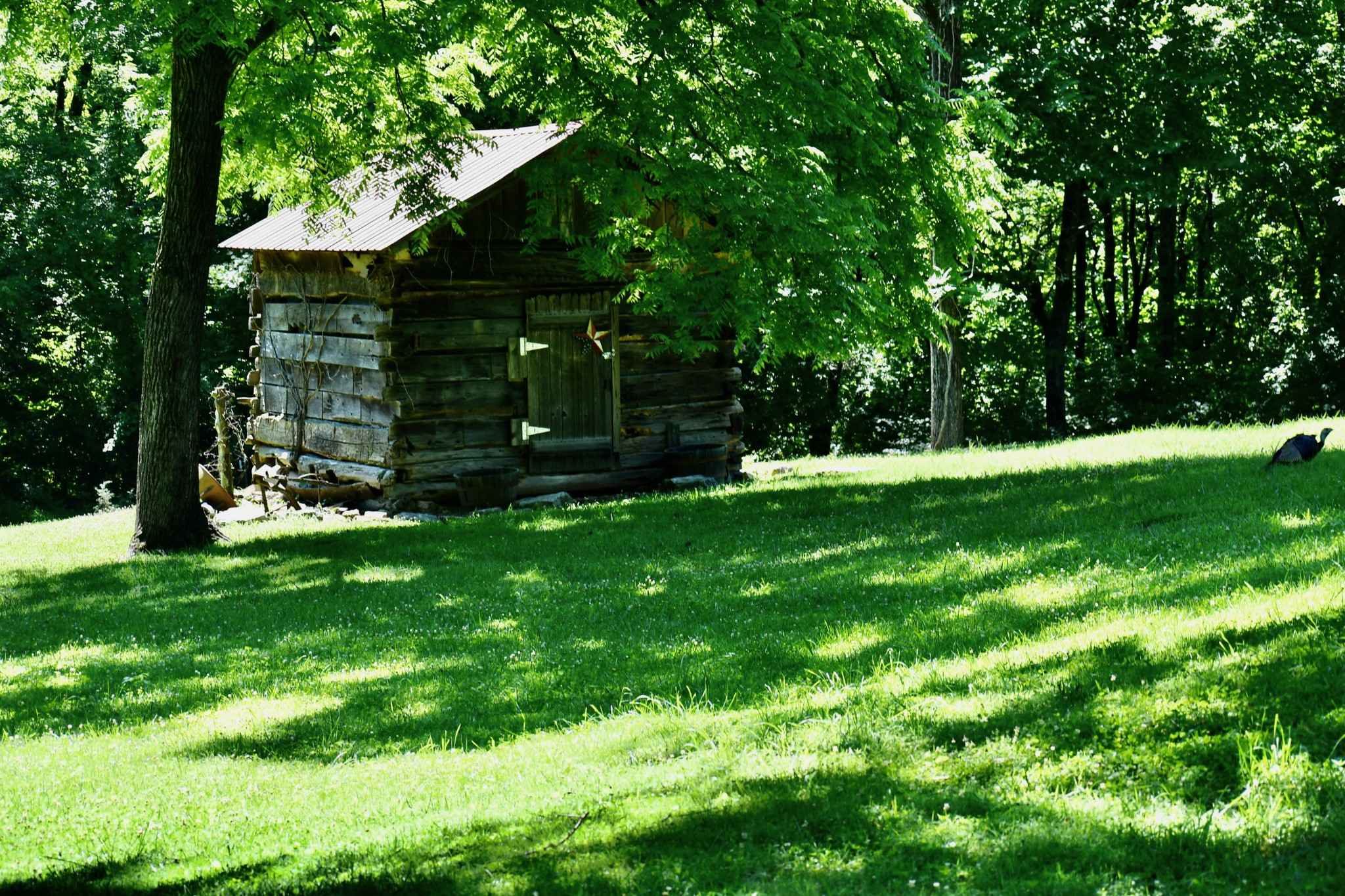 1613 Groveland Ridge Road Columbia, TN 38401 - Photo 38 of 42