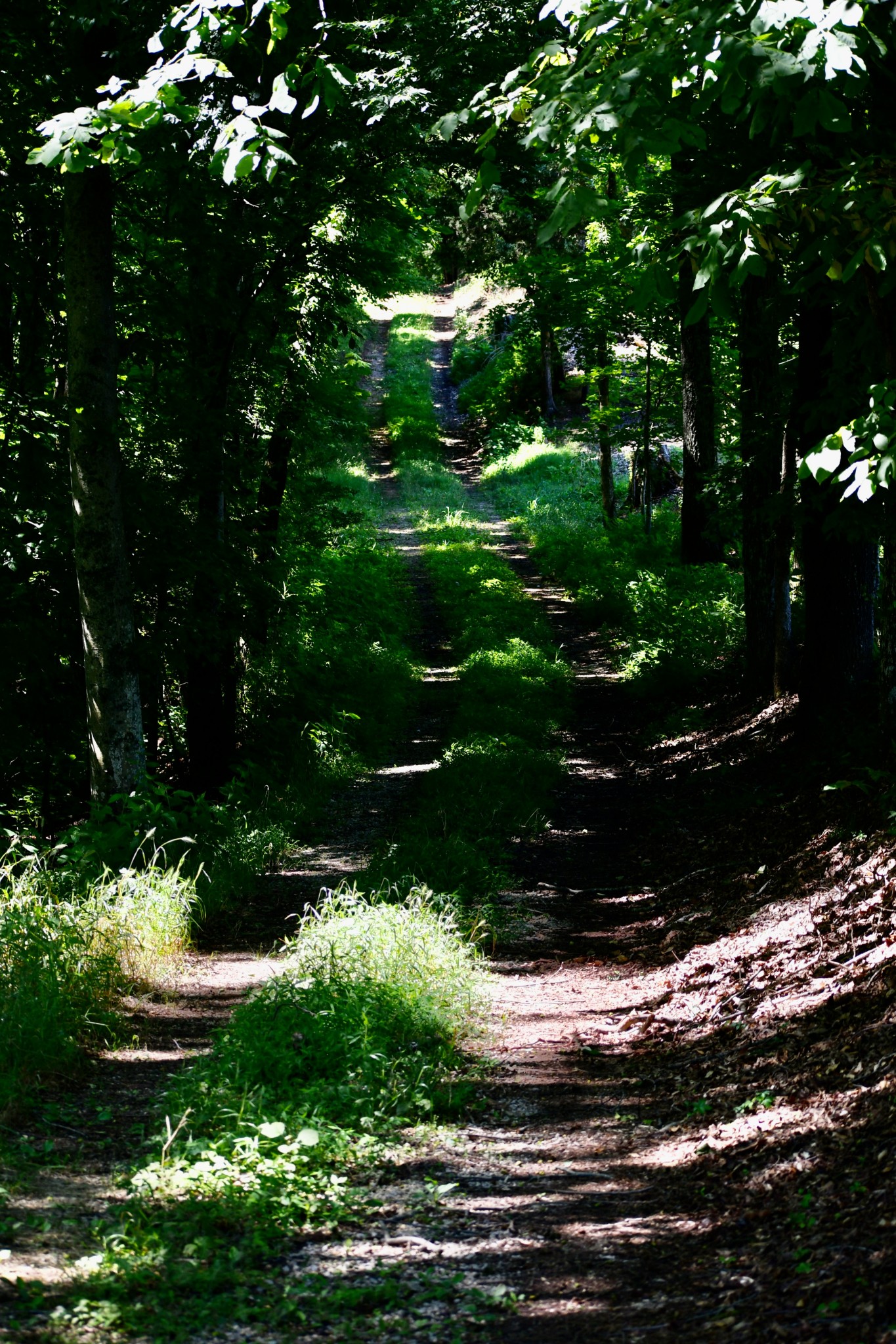 1613 Groveland Ridge Road Columbia, TN 38401 - Photo 40 of 42