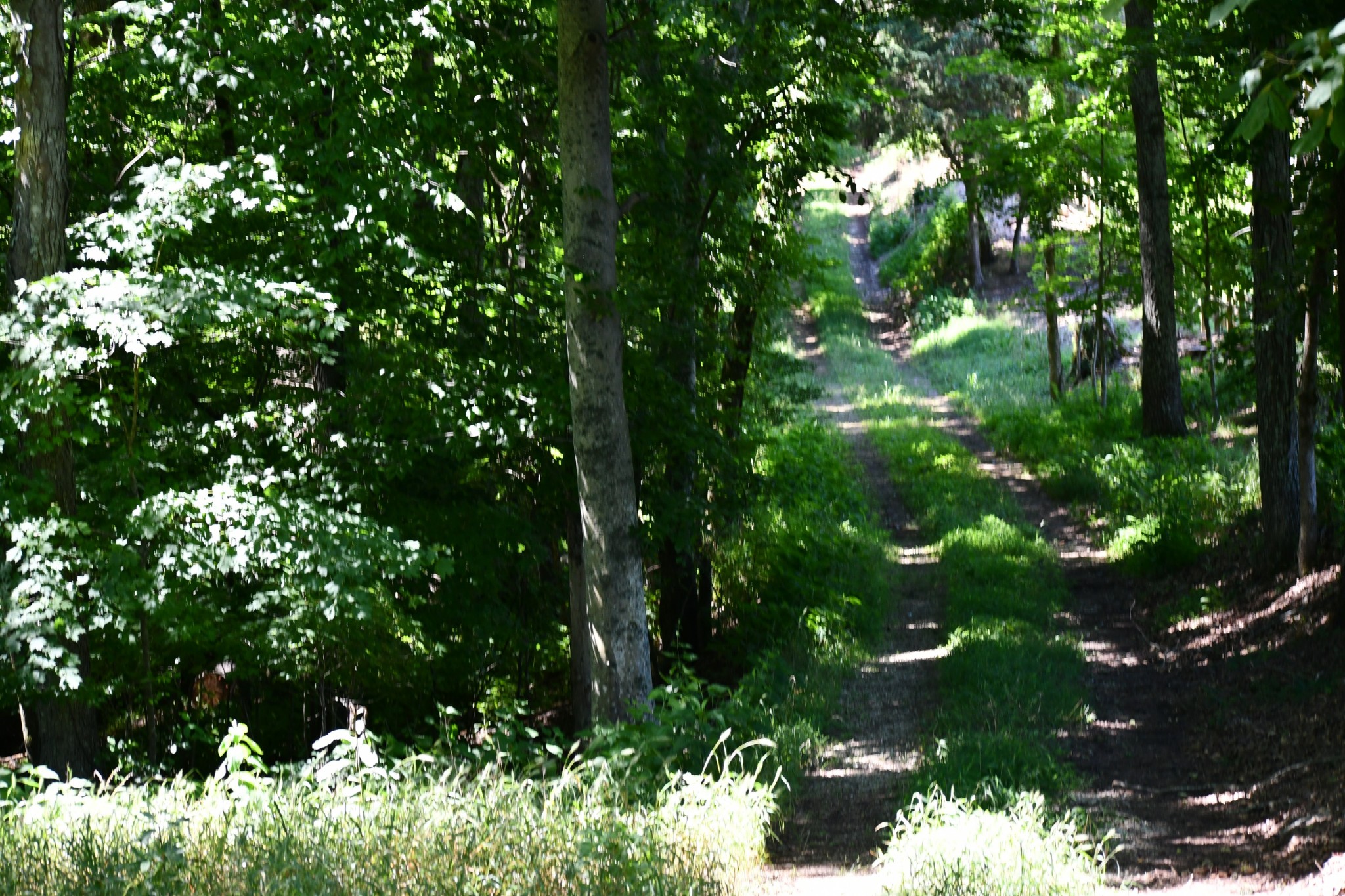 1613 Groveland Ridge Road Columbia, TN 38401 - Photo 41 of 42