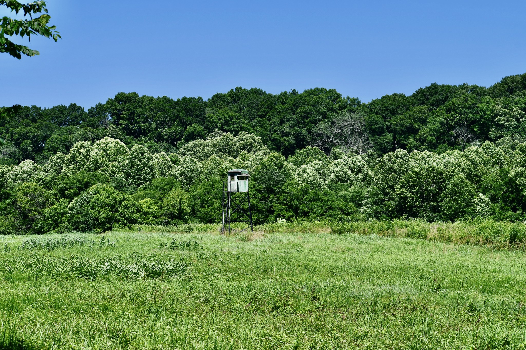 1613 Groveland Ridge Road Columbia, TN 38401 - Photo 10 of 42