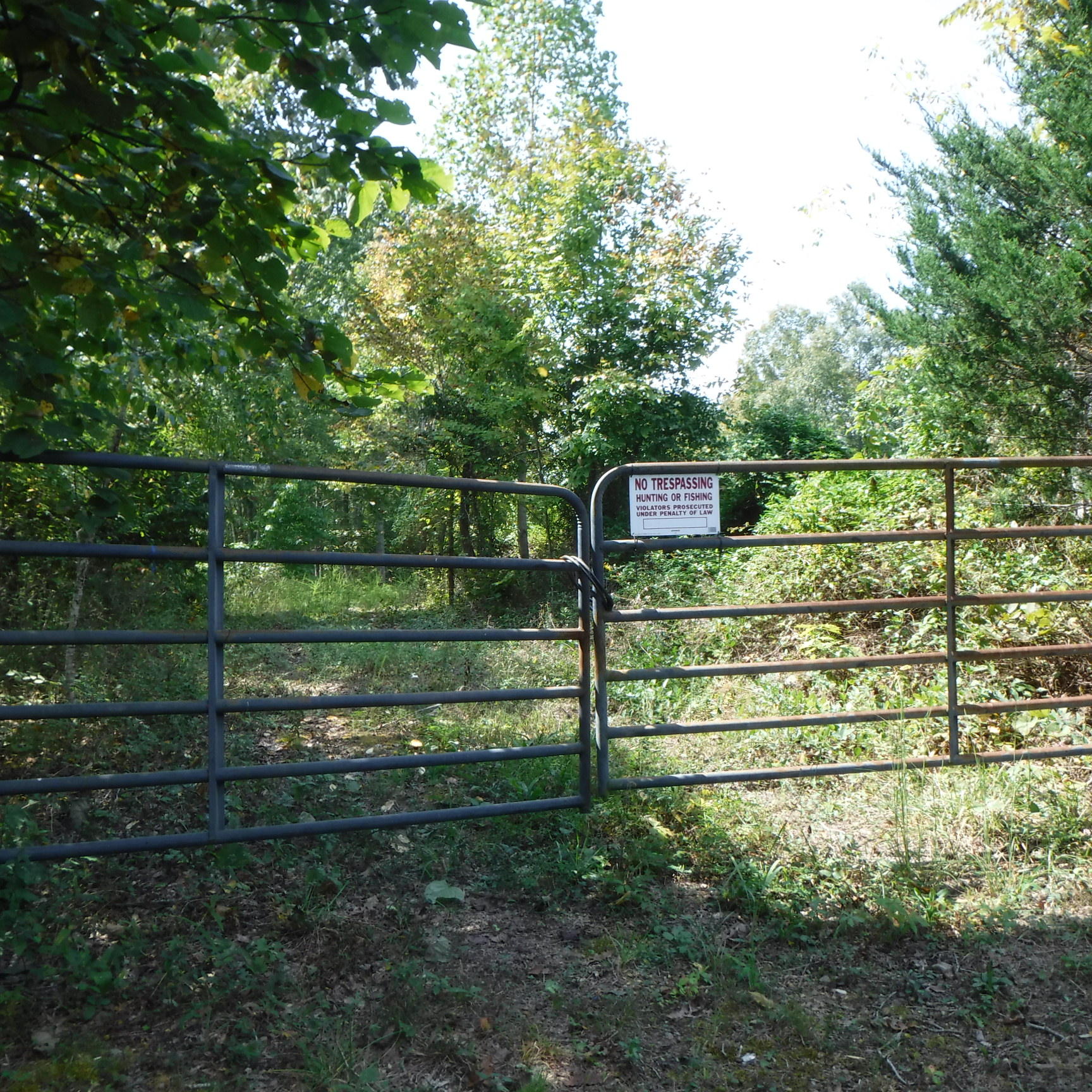 21.75 Wes Dailey Road Celina, TN 38551 - Photo 1 of 11 09-20-2017 033