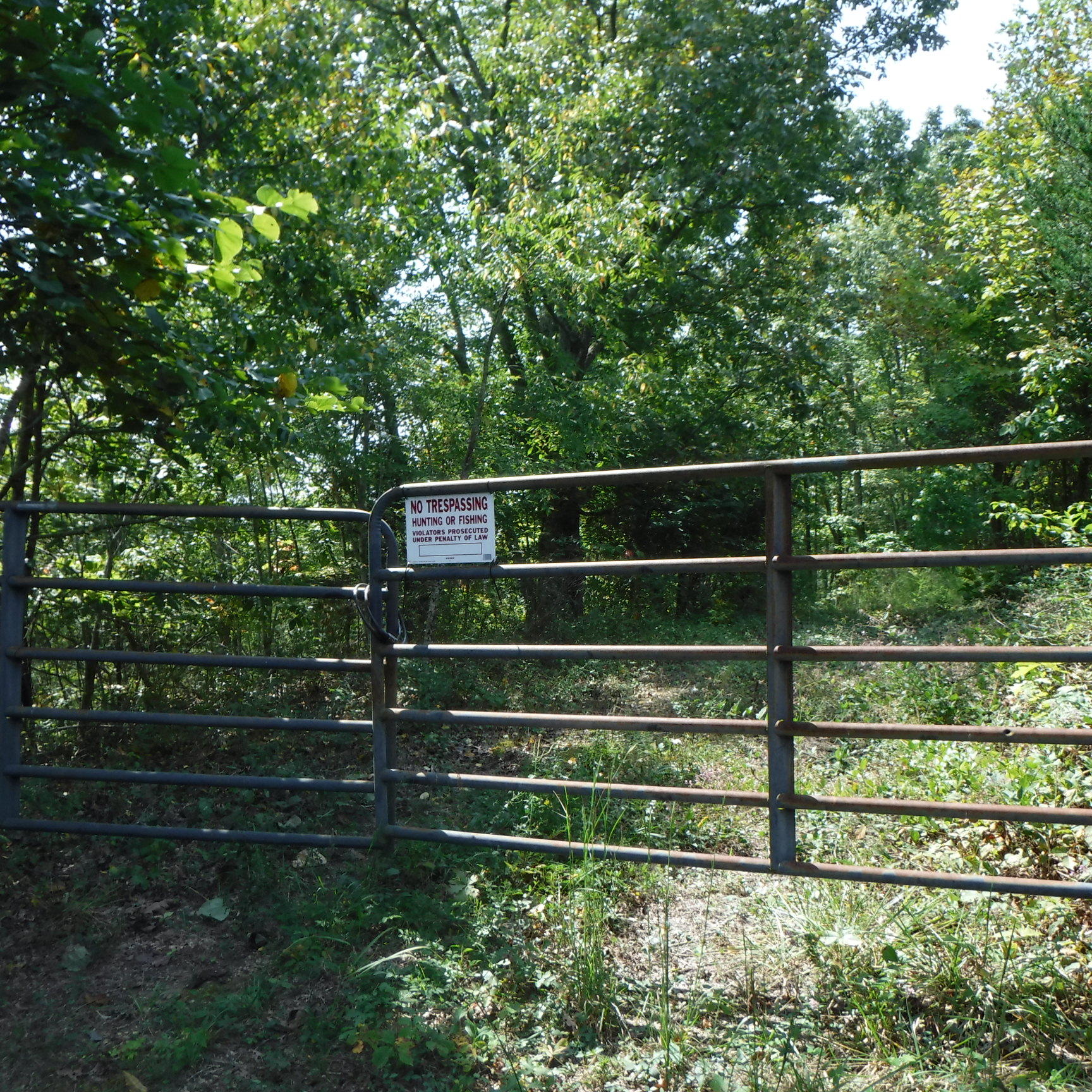 21.75 Wes Dailey Road Celina, TN 38551 - Photo 2 of 11 09-20-2017 035