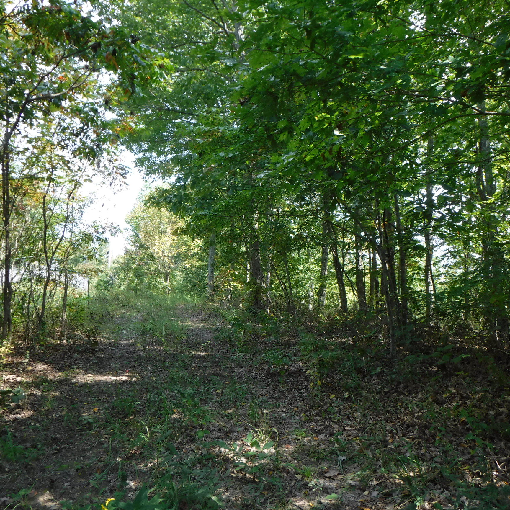 21.75 Wes Dailey Road Celina, TN 38551 - Photo 8 of 11 09-20-2017 075