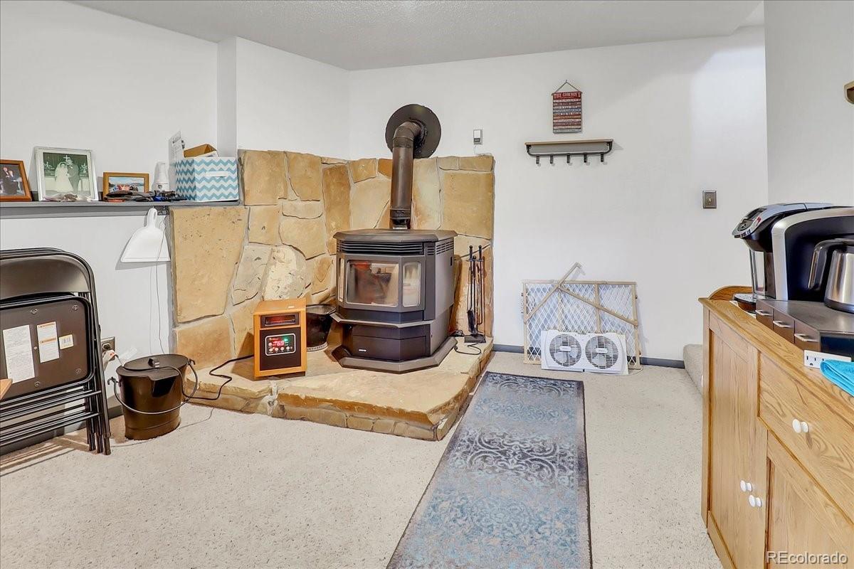 2255 Roland Drive Bailey, CO 80421 - Photo 16 of 40 Gallery Image 16