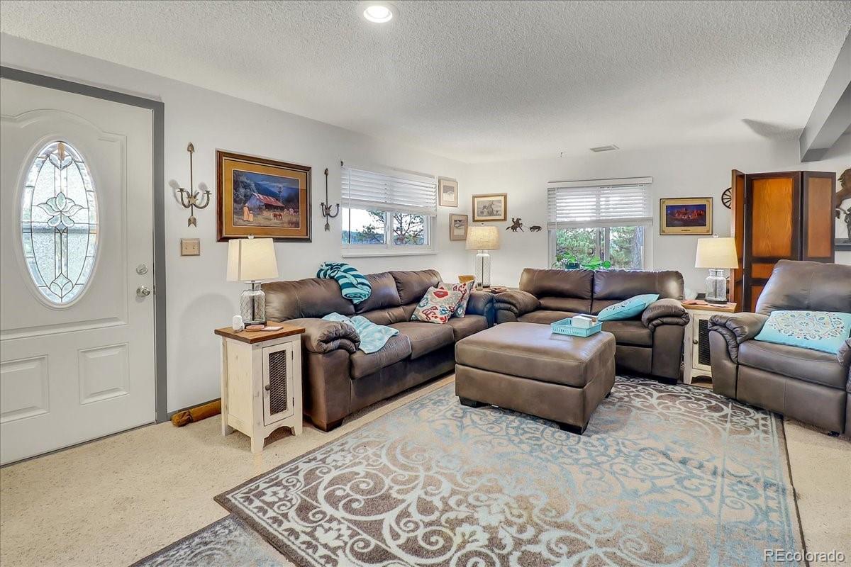 2255 Roland Drive Bailey, CO 80421 - Photo 19 of 40 Gallery Image 19