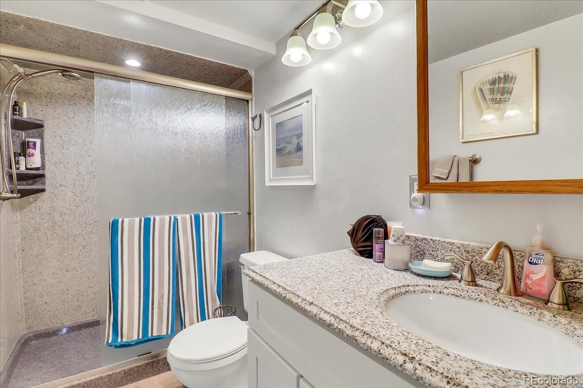 2255 Roland Drive Bailey, CO 80421 - Photo 22 of 40 Gallery Image 22