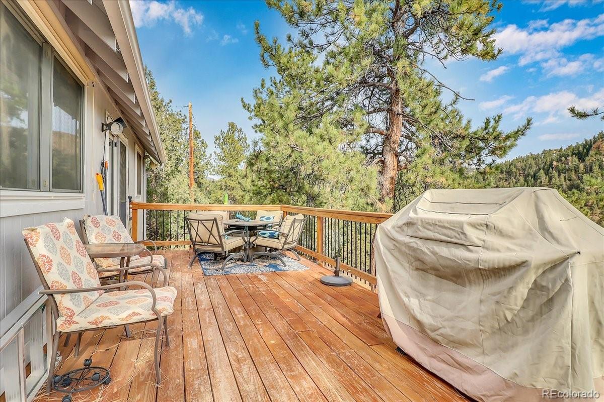 2255 Roland Drive Bailey, CO 80421 - Photo 28 of 40 Gallery Image 28