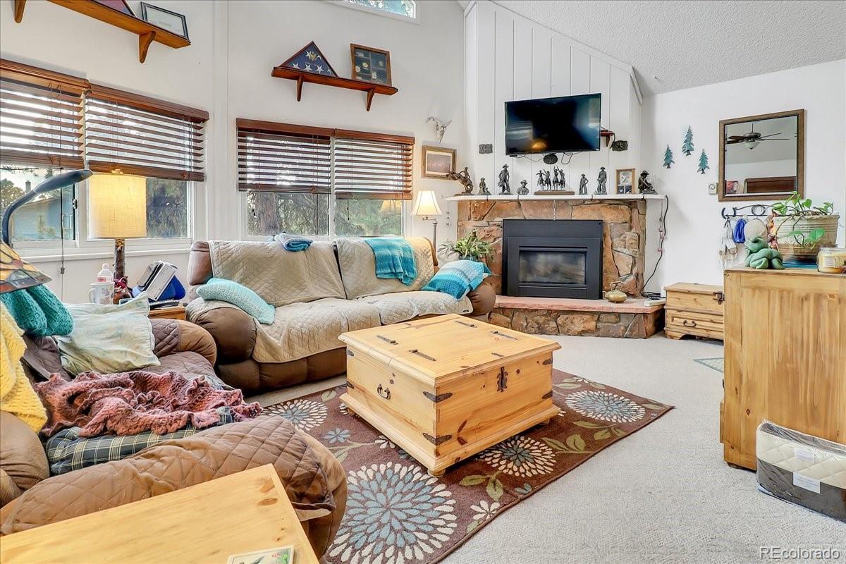 2255 Roland Drive Bailey, CO 80421 - Photo 8 of 40 Gallery Image 8