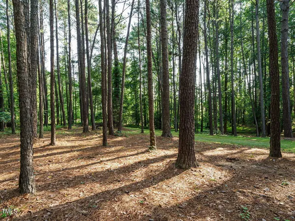 a view of a grassy field with trees in the background