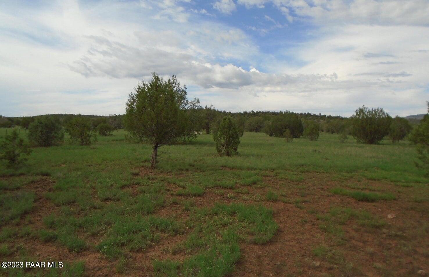 1802 Cumberland Road Ash Fork, AZ 86320 - Photo 2 of 7 a view of an outdoor space and a yard