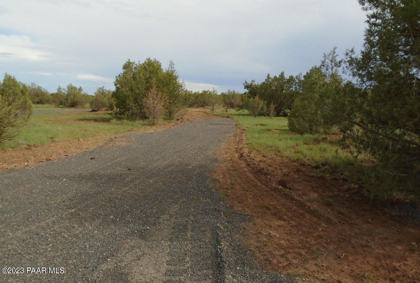 1802 Cumberland Road Ash Fork, AZ 86320 - Photo 3 of 7 a view of dirt field with large trees