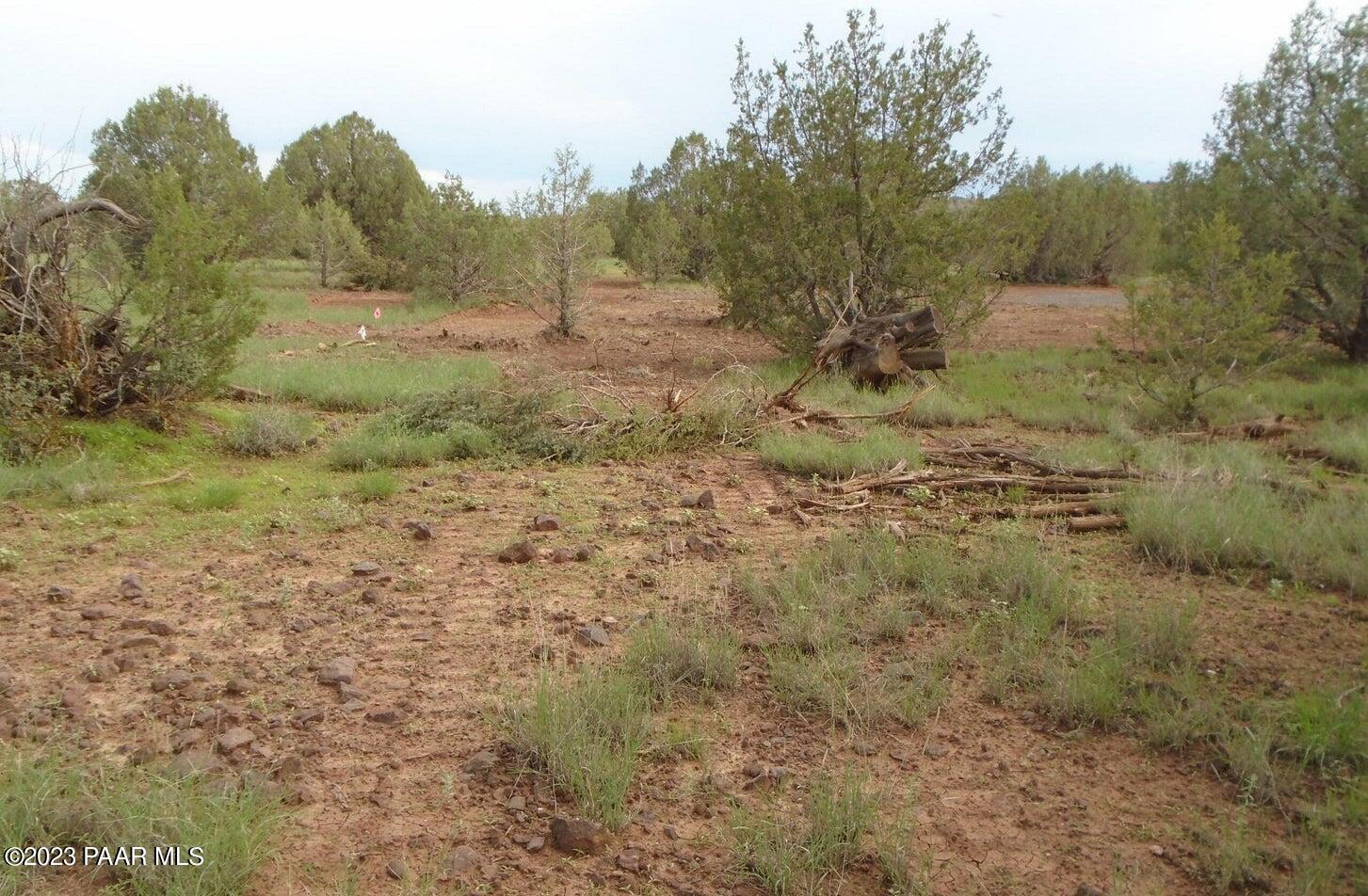 1802 Cumberland Road Ash Fork, AZ 86320 - Photo 5 of 7 a view of a yard with a tree