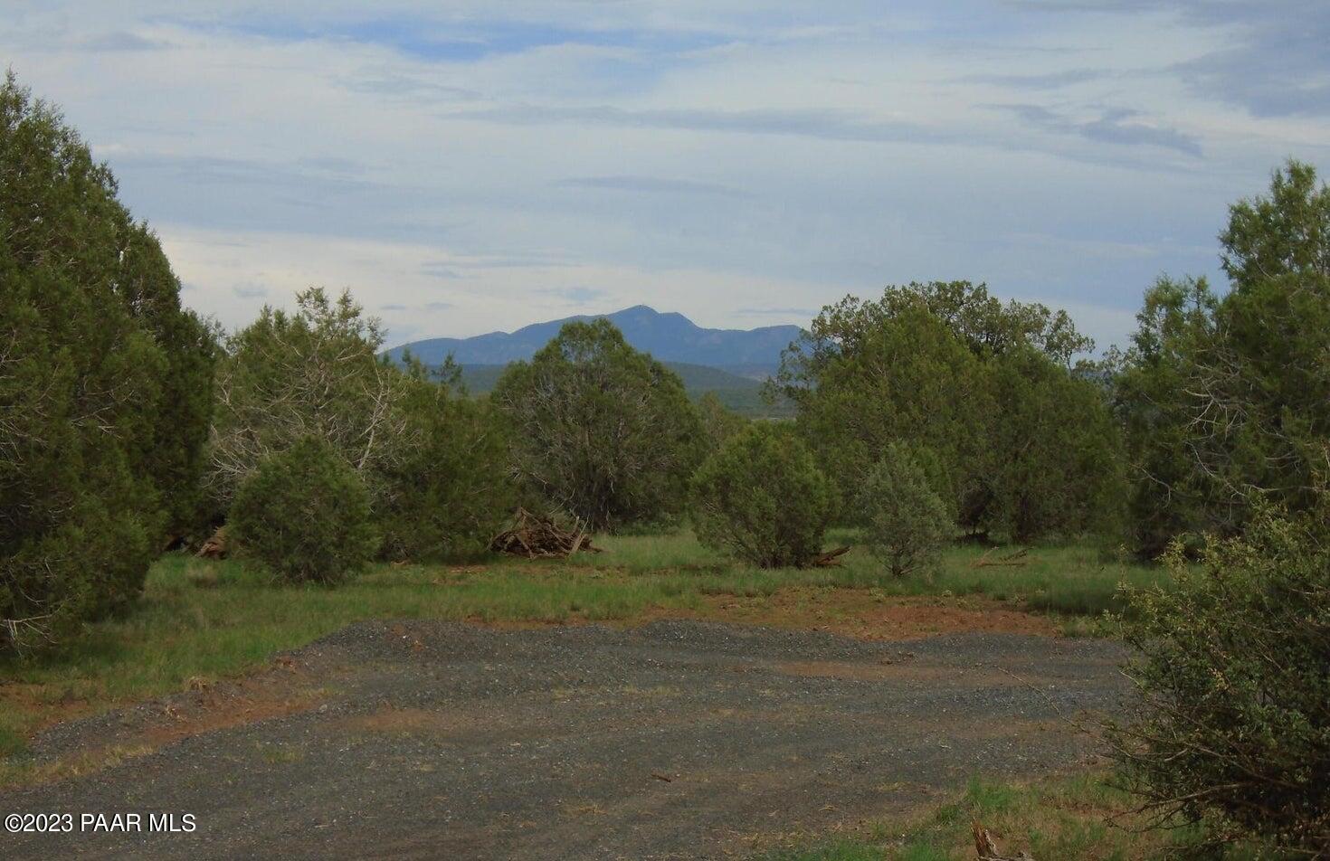 1802 Cumberland Road Ash Fork, AZ 86320 - Photo 6 of 7 a view of a field with trees in background