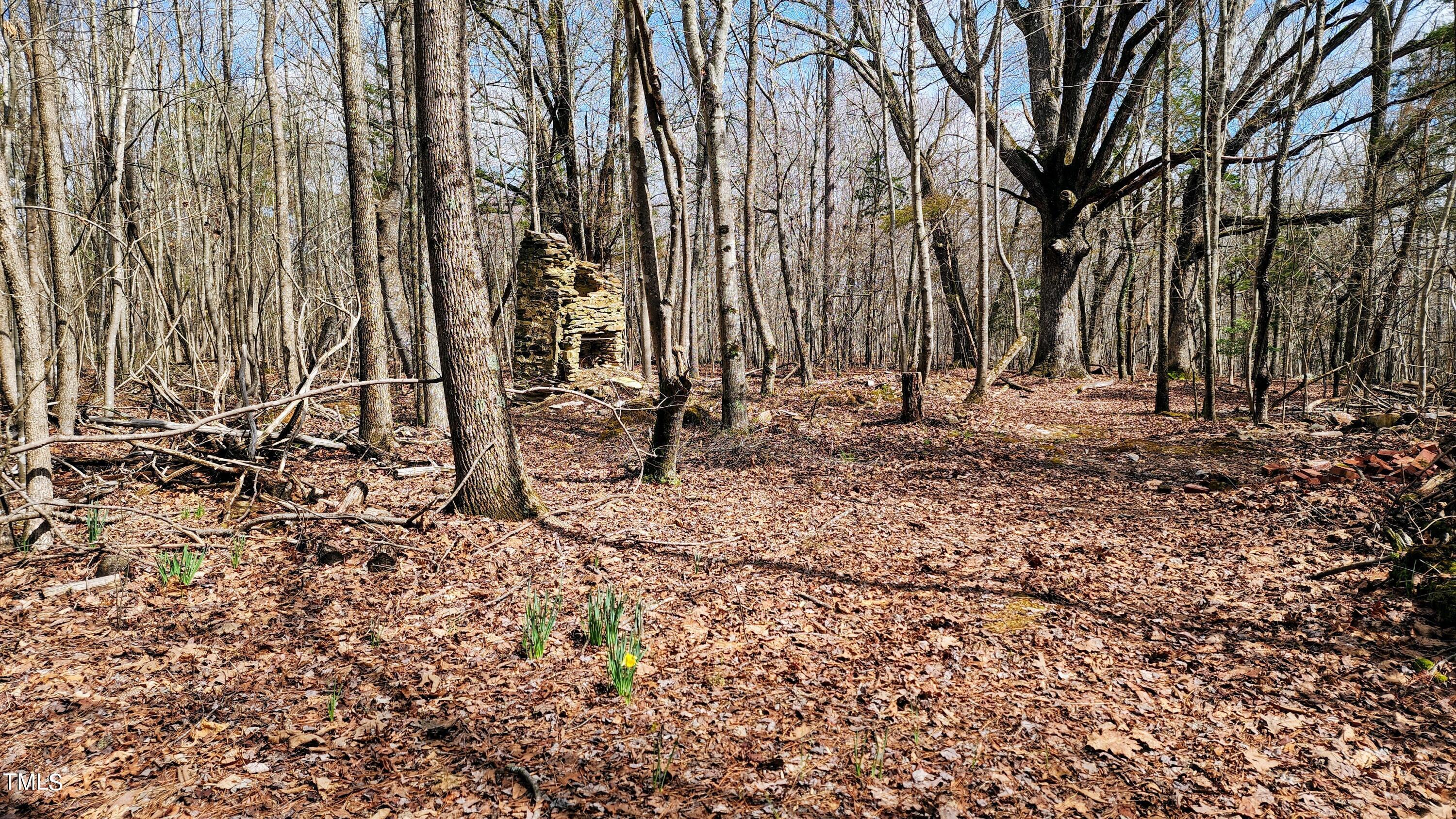 57 Rougemont Nc 27572 Rougemont, NC 27572 - Photo 6 of 22 Adorable buttercups and old standing FP
