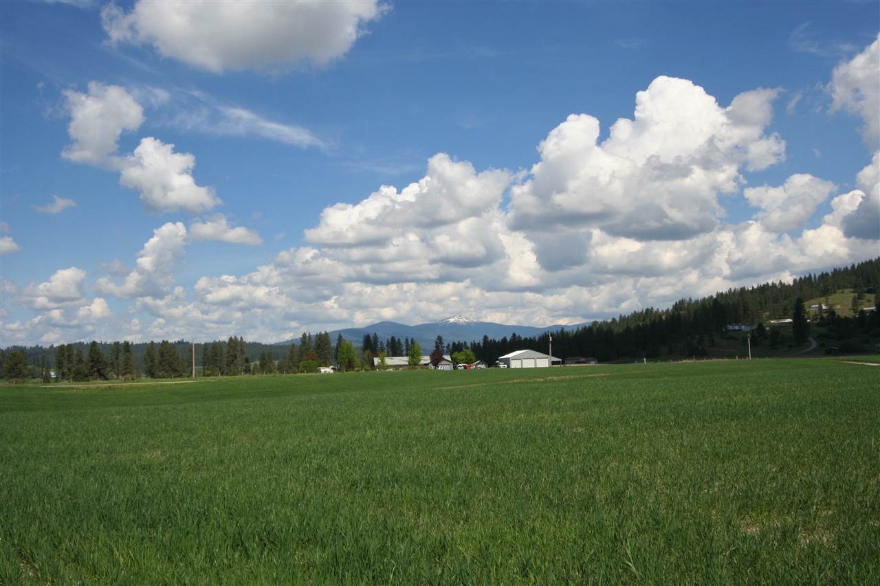 11302 East Taylor Road Mead, WA 99021 - Photo 1 of 20