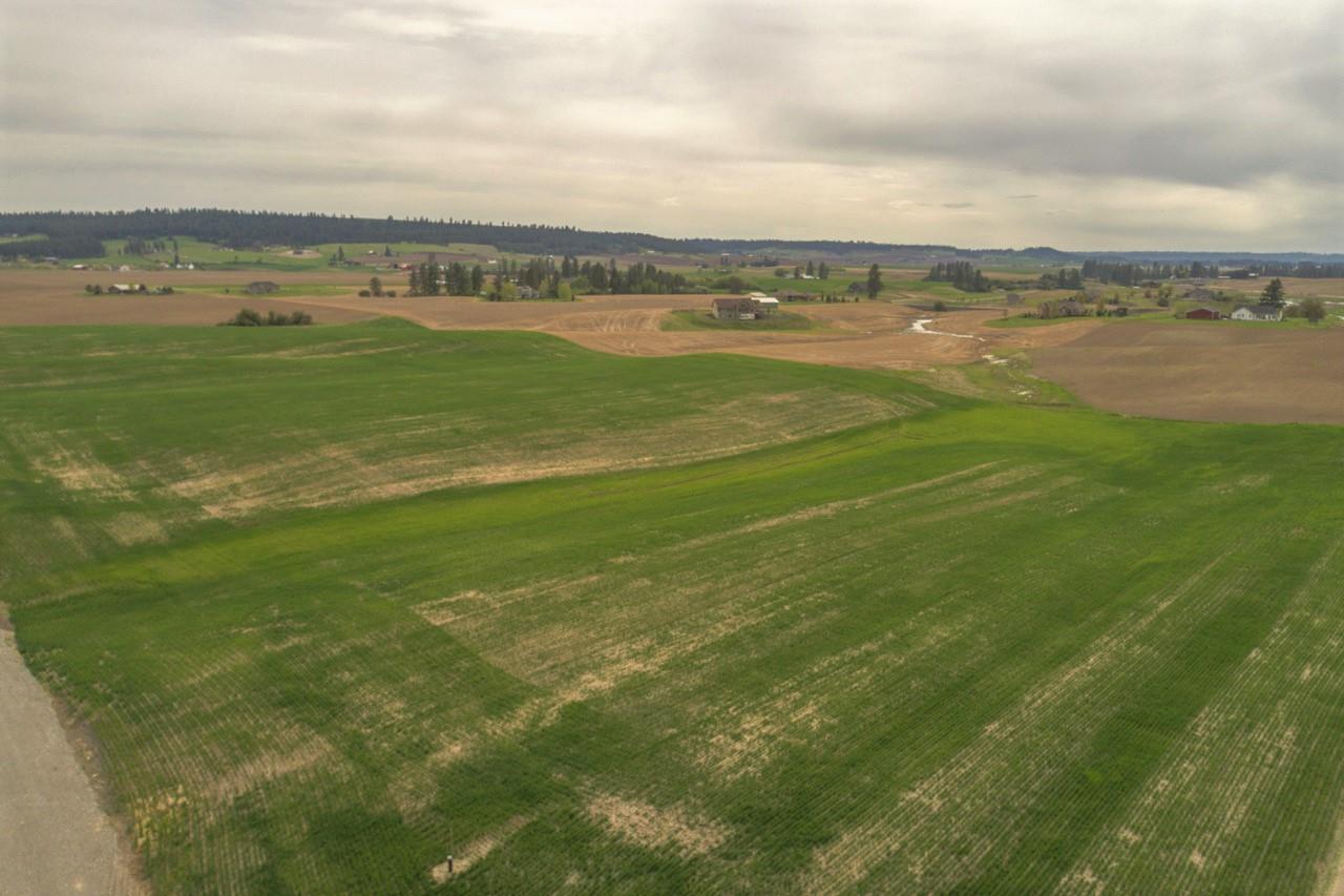 11302 East Taylor Road Mead, WA 99021 - Photo 2 of 20