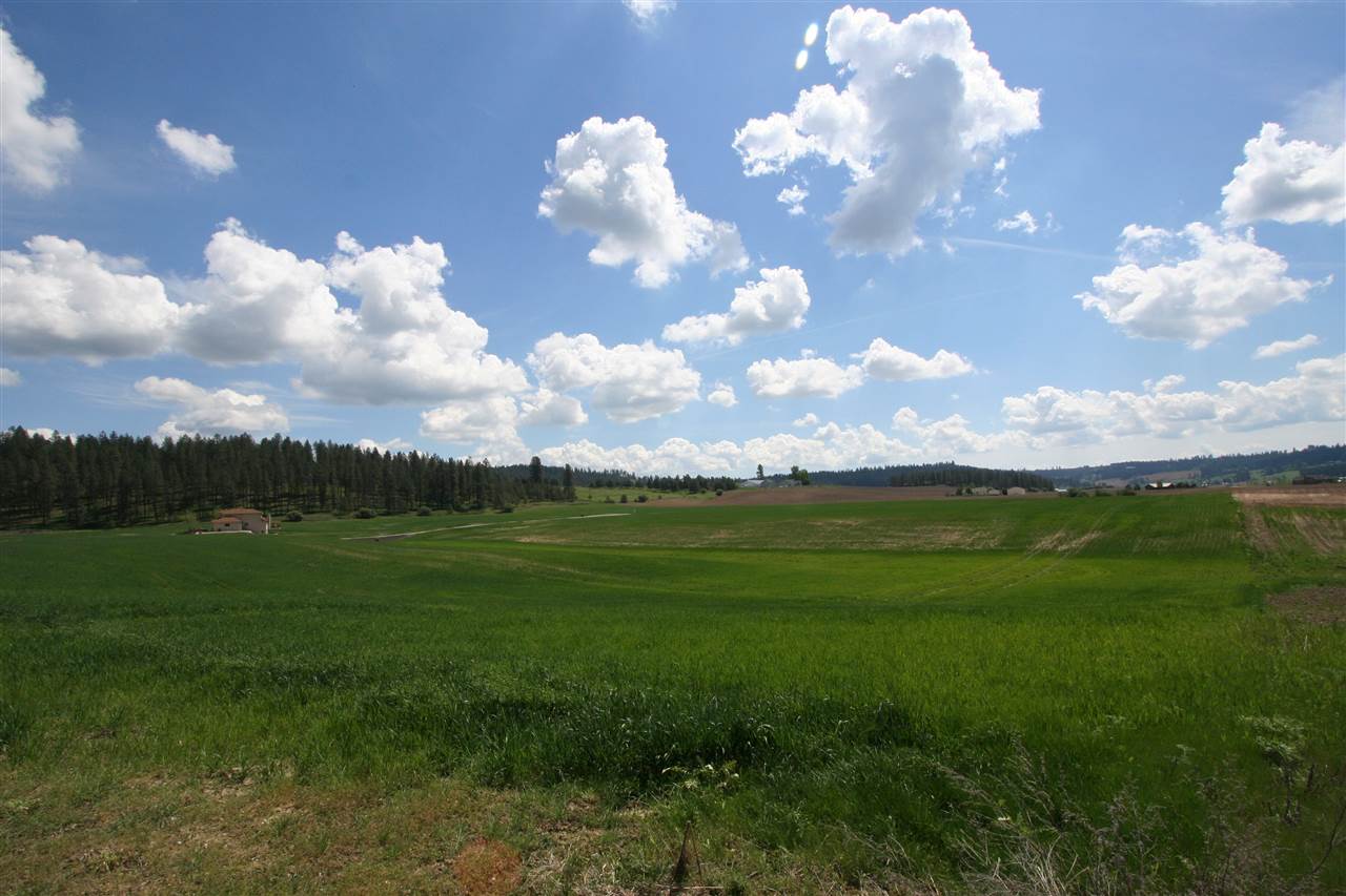 11302 East Taylor Road Mead, WA 99021 - Photo 11 of 20