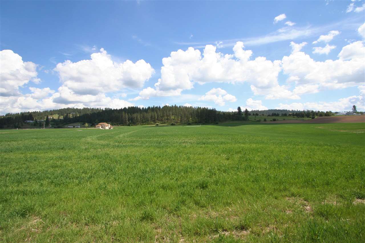11302 East Taylor Road Mead, WA 99021 - Photo 19 of 20