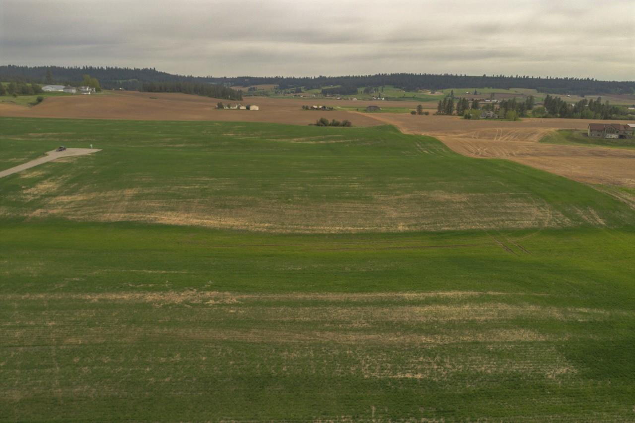 11302 East Taylor Road Mead, WA 99021 - Photo 3 of 20