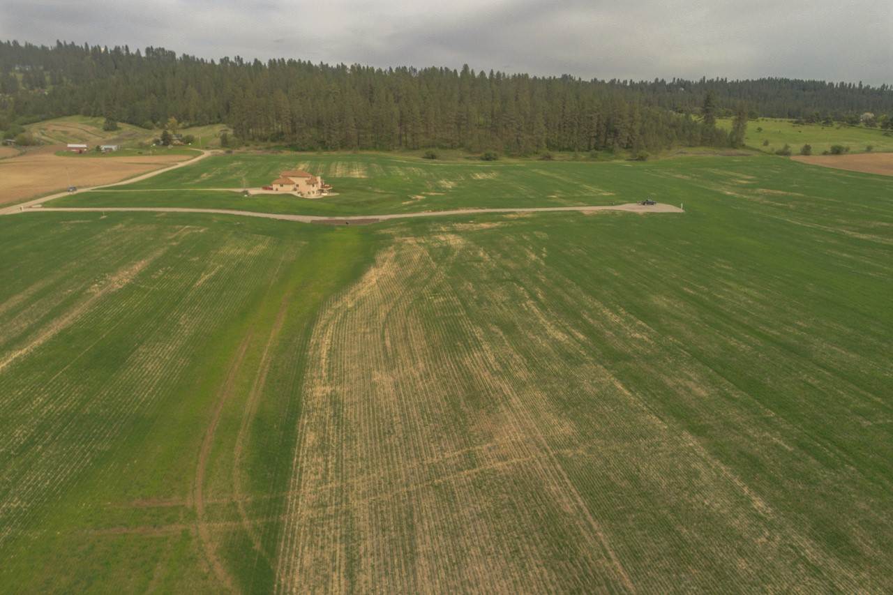 11302 East Taylor Road Mead, WA 99021 - Photo 4 of 20