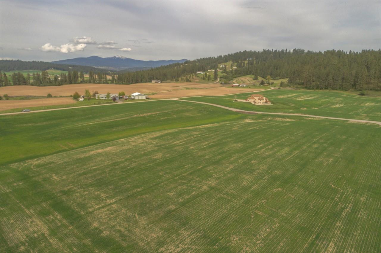 11302 East Taylor Road Mead, WA 99021 - Photo 5 of 20