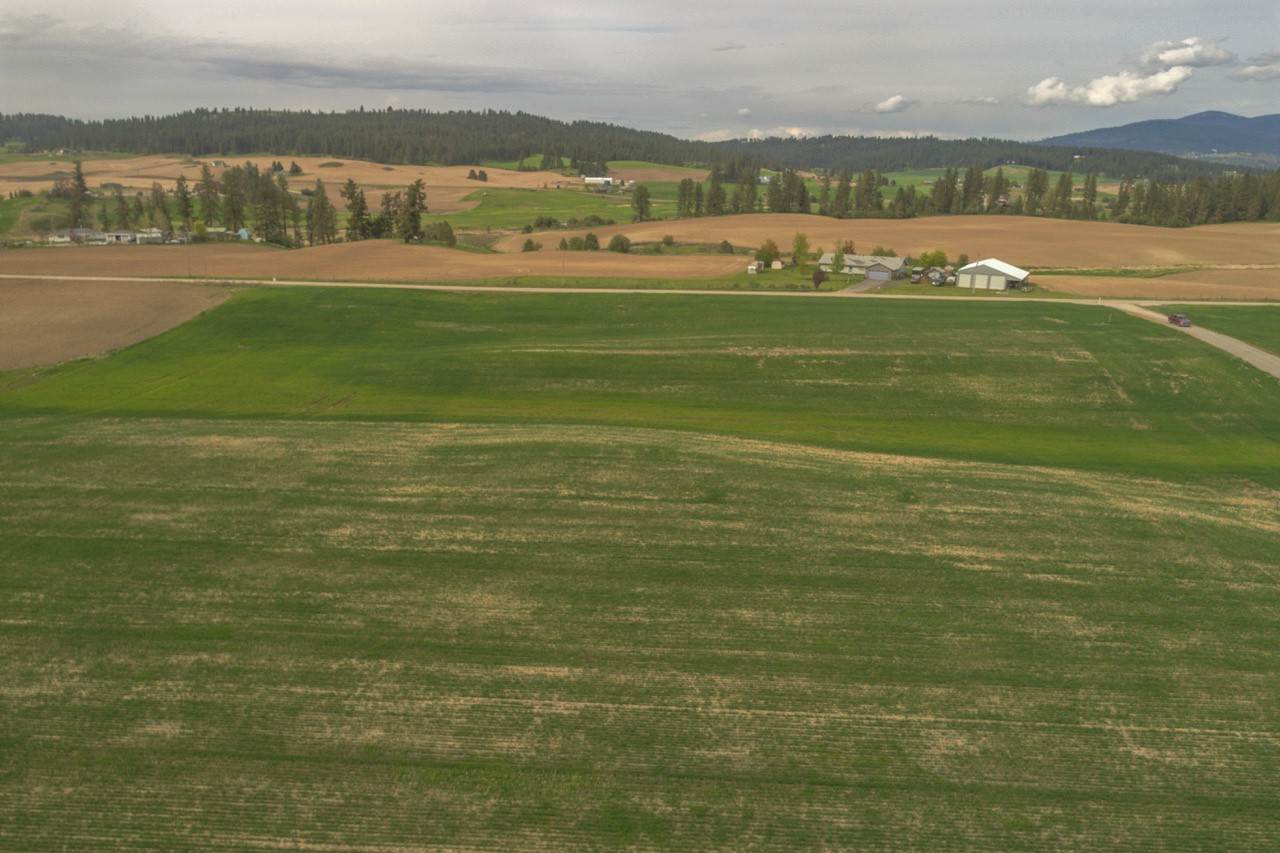11302 East Taylor Road Mead, WA 99021 - Photo 6 of 20