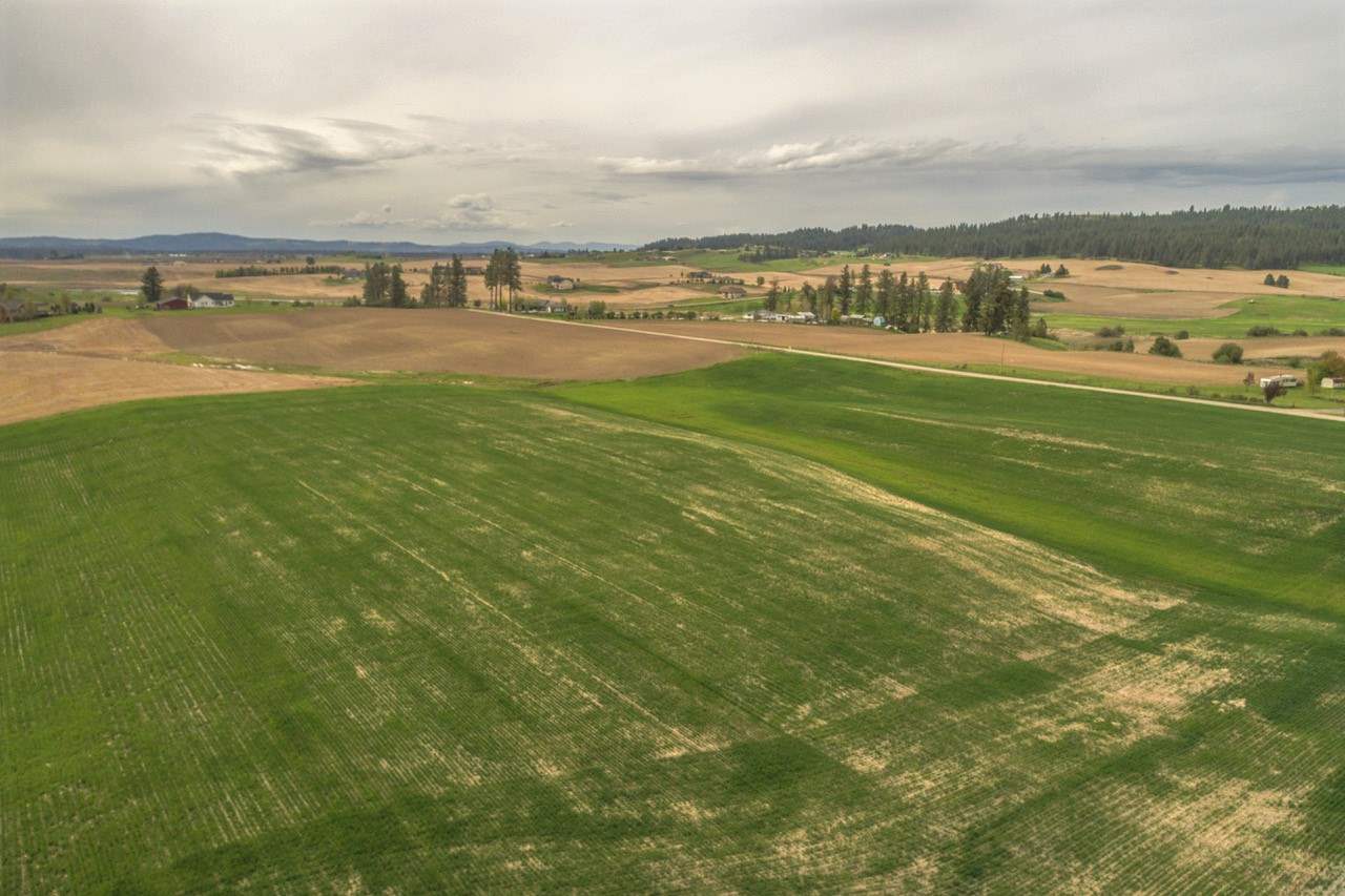 11302 East Taylor Road Mead, WA 99021 - Photo 7 of 20