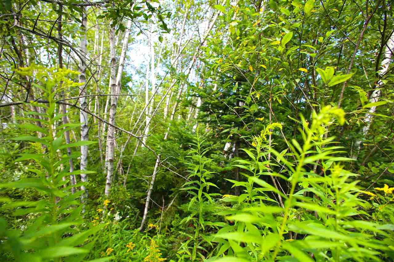 17 Burchard Road West Dover, VT 05356 - Photo 11 of 38