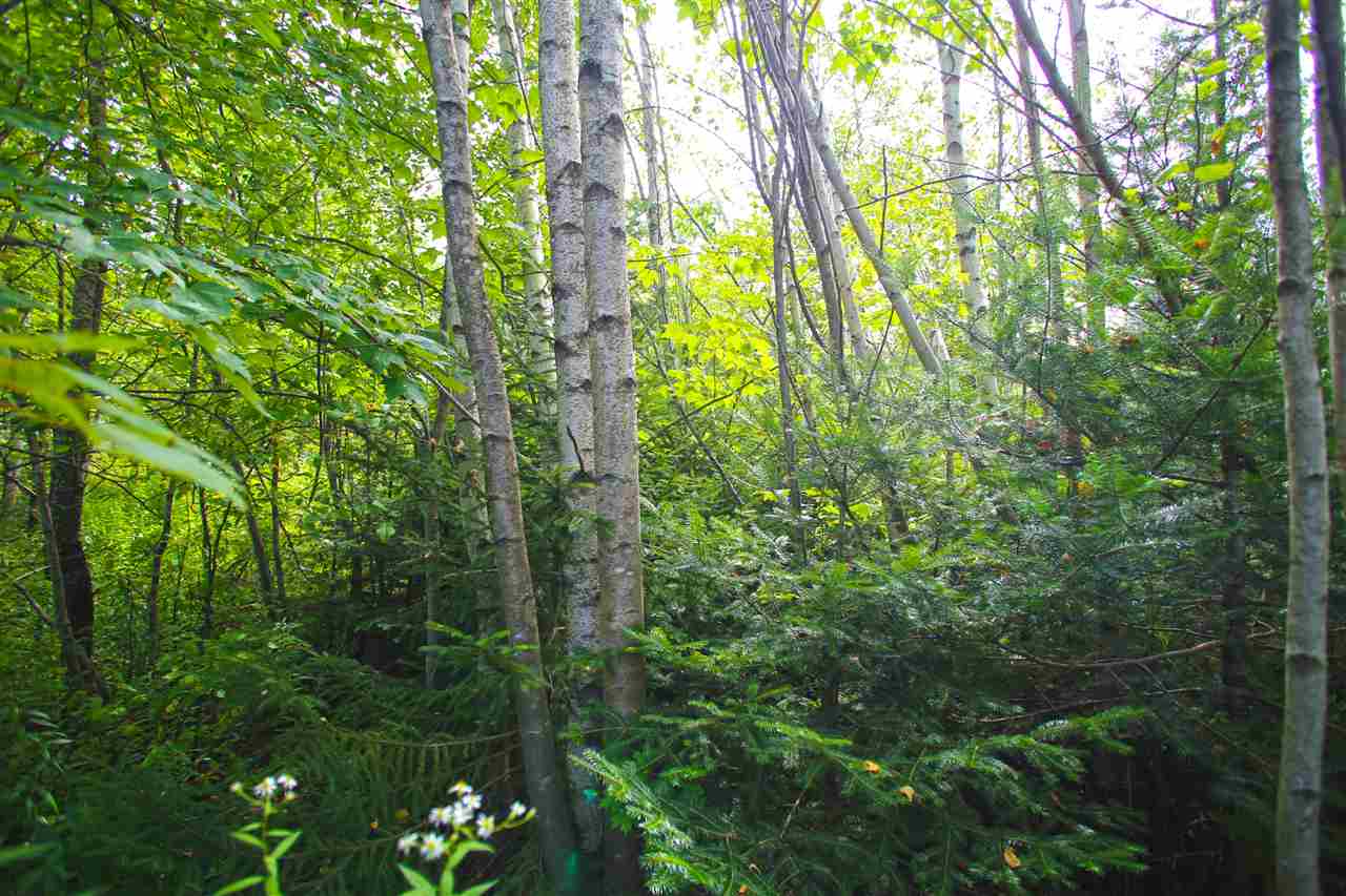 17 Burchard Road West Dover, VT 05356 - Photo 21 of 38