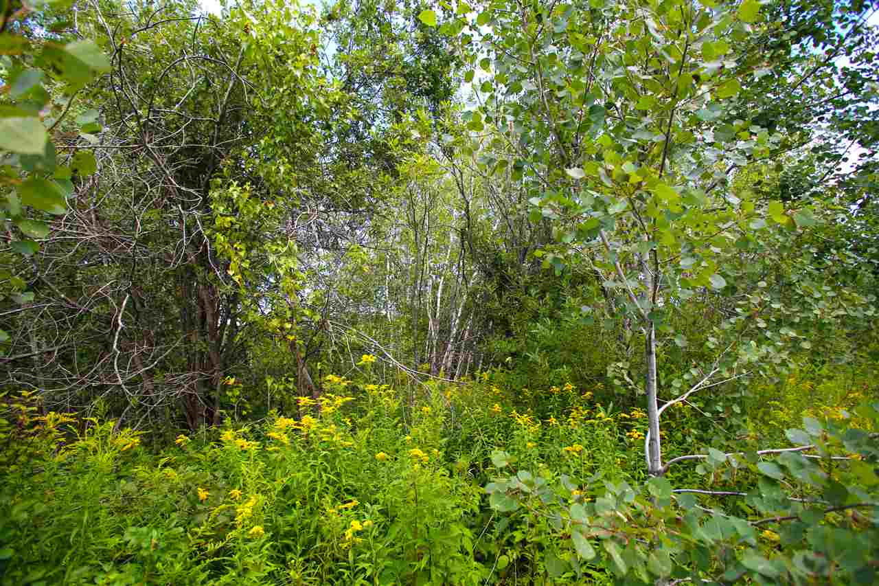 17 Burchard Road West Dover, VT 05356 - Photo 26 of 38
