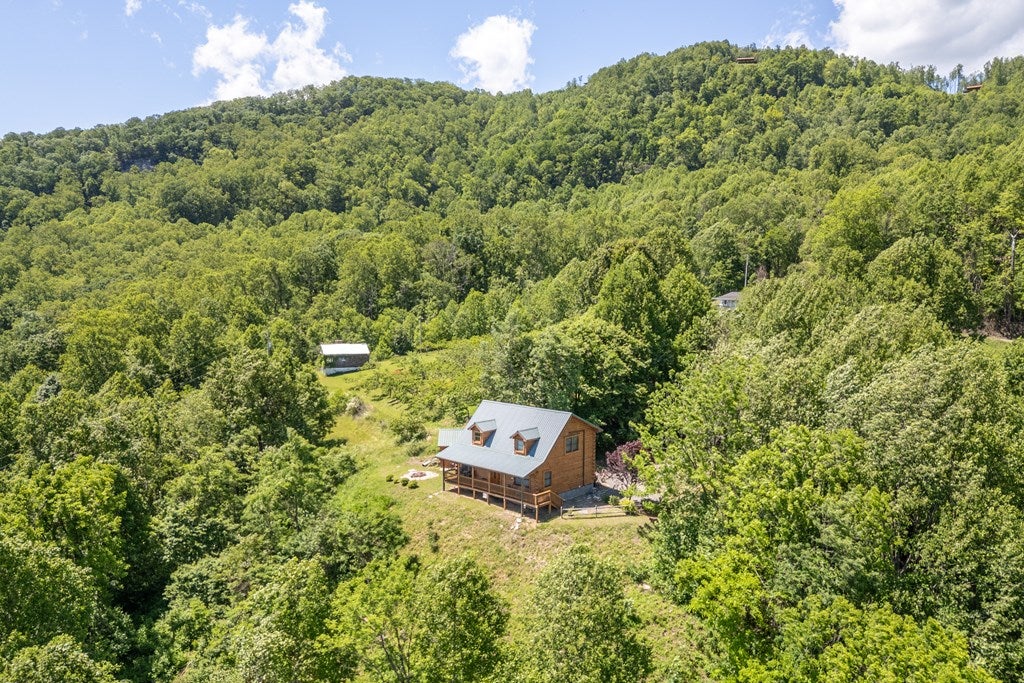 8743 Wards Gap Road Cana, VA 24317 - Photo 21 of 94 Gallery Image 21