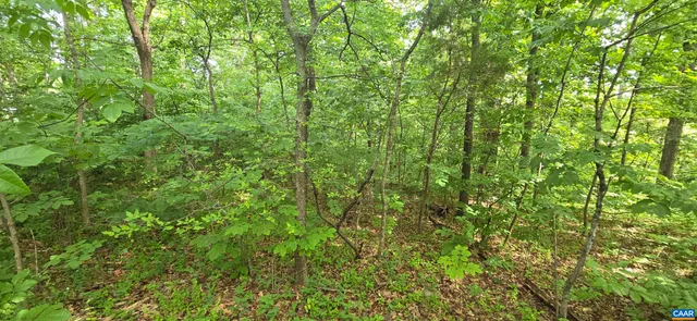 $85,000 | 14314 Willis Court, Orange, VA 22960