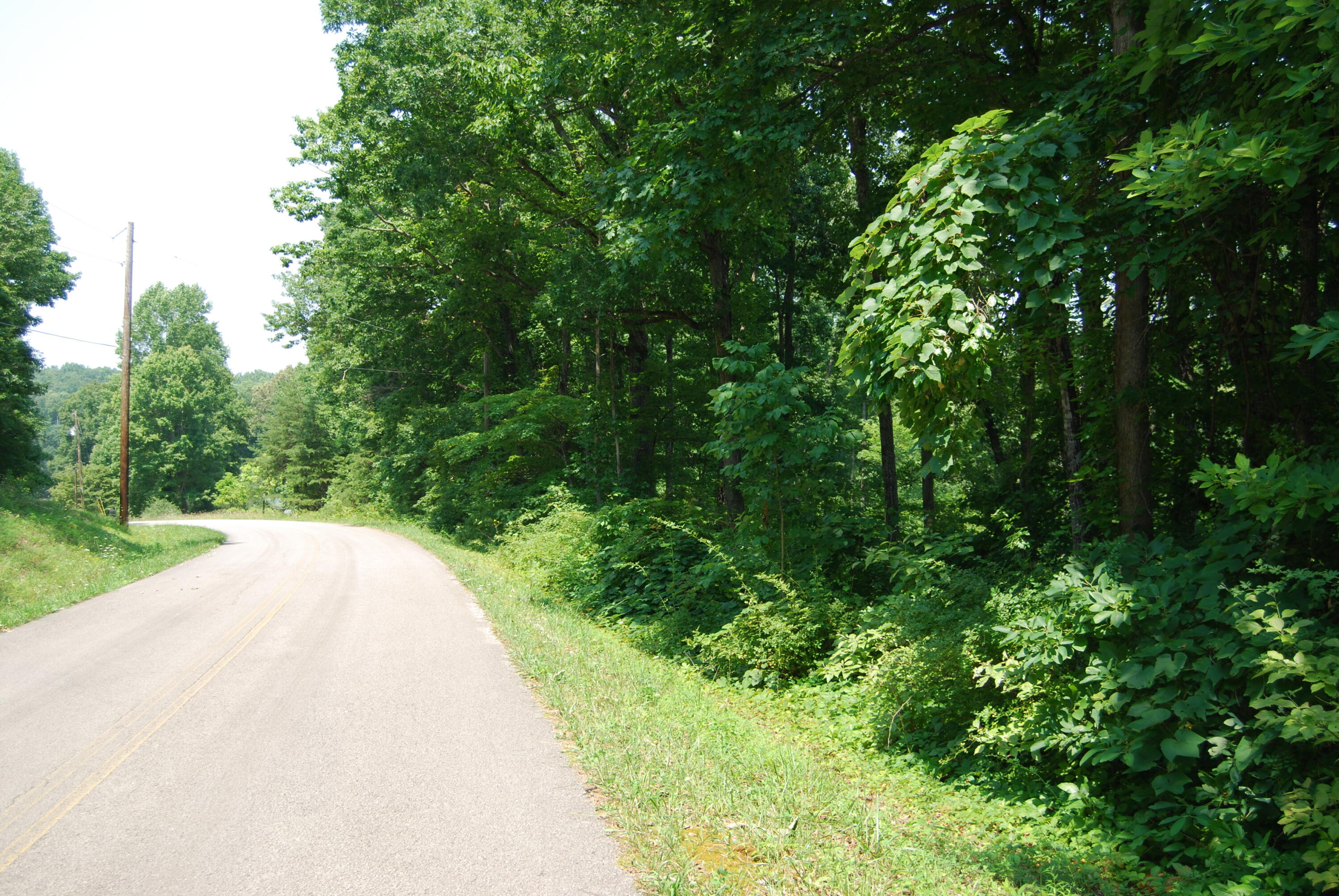 Hyder Loop Crossville, TN 38571 - Photo 12 of 15 DSC_0156