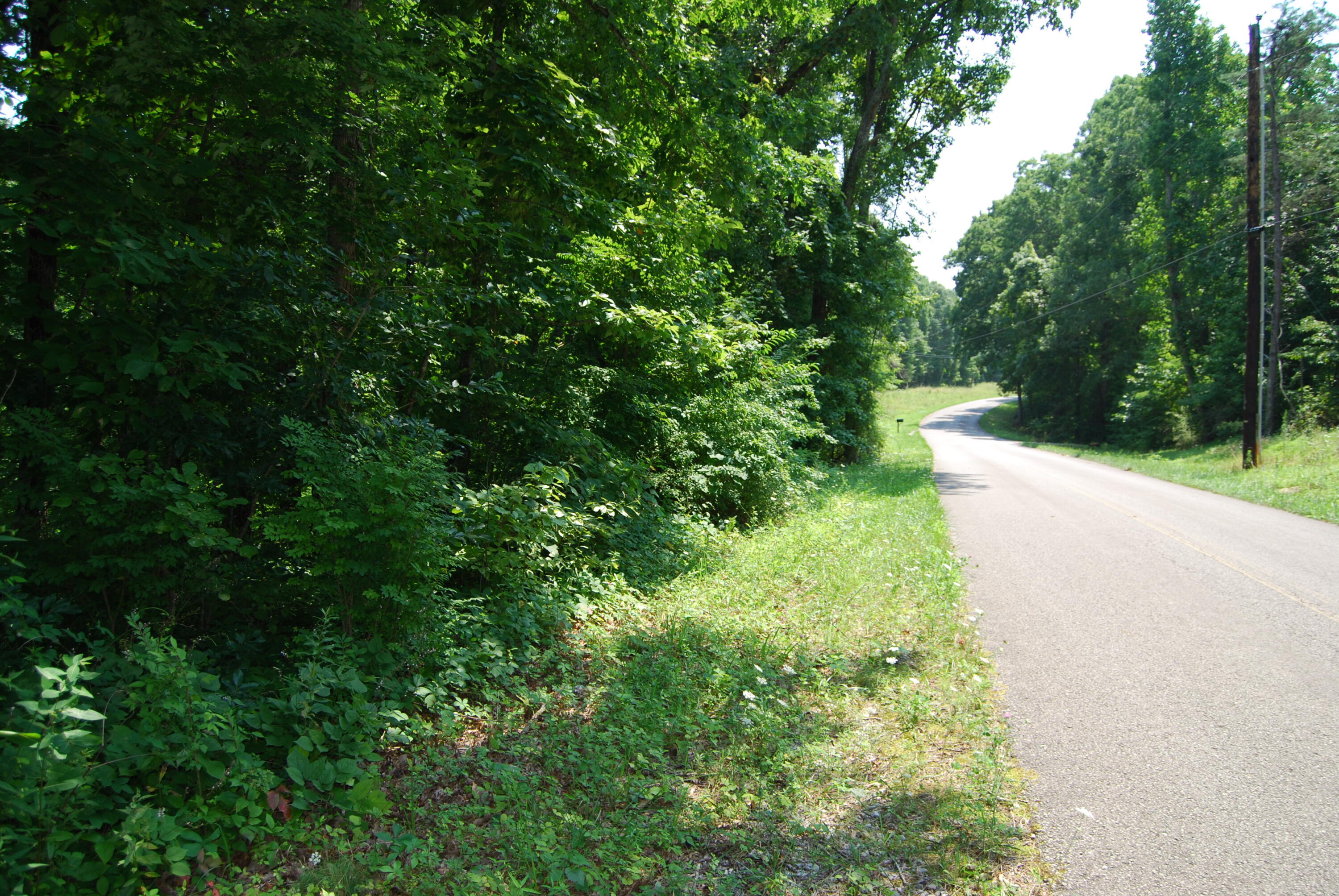 Hyder Loop Crossville, TN 38571 - Photo 13 of 15 DSC_0157