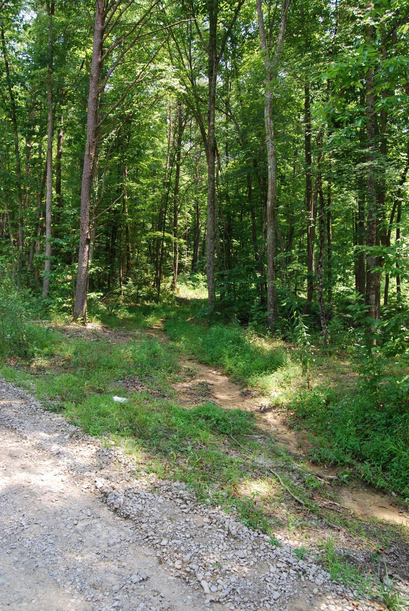 Hyder Loop Crossville, TN 38571 - Photo 15 of 15 DSC_0159