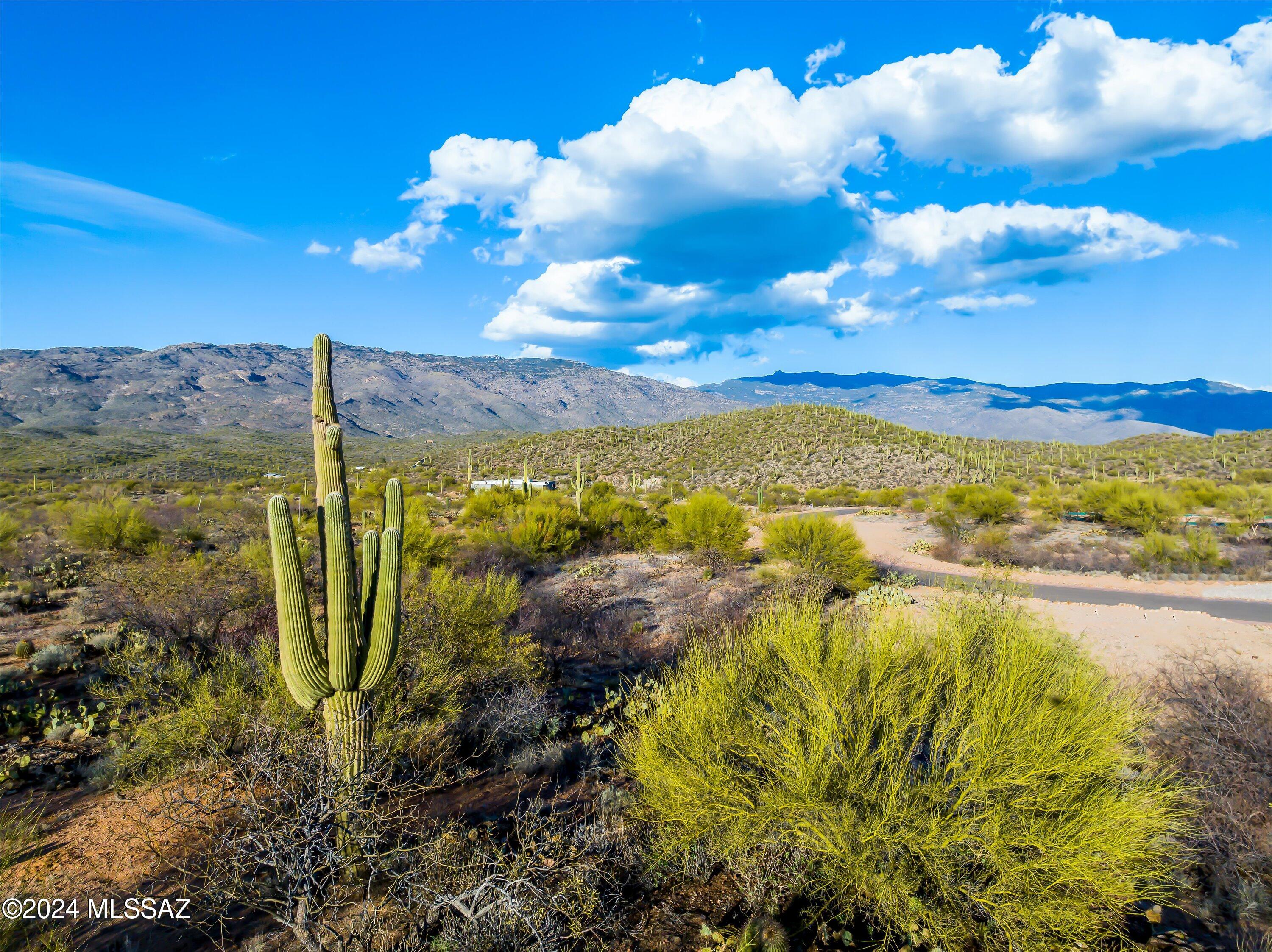 7790 South Diamond K Ranch Place, Unit L246 Vail, AZ 85641 - Photo 6 of 20