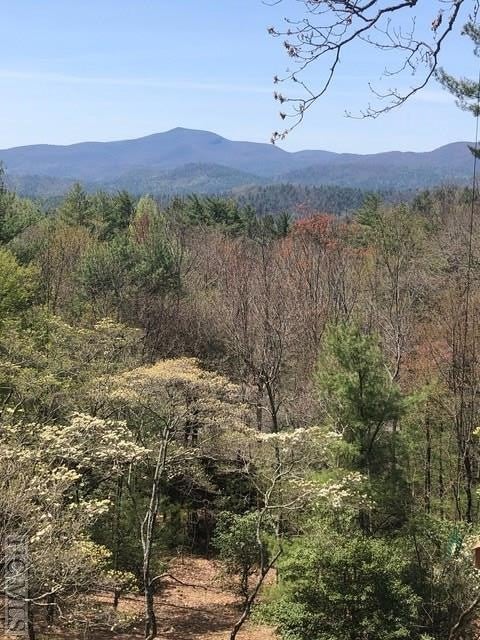 356 Old Orchard Road Highlands, NC 28741 - Photo 6 of 28 Gallery Image 6