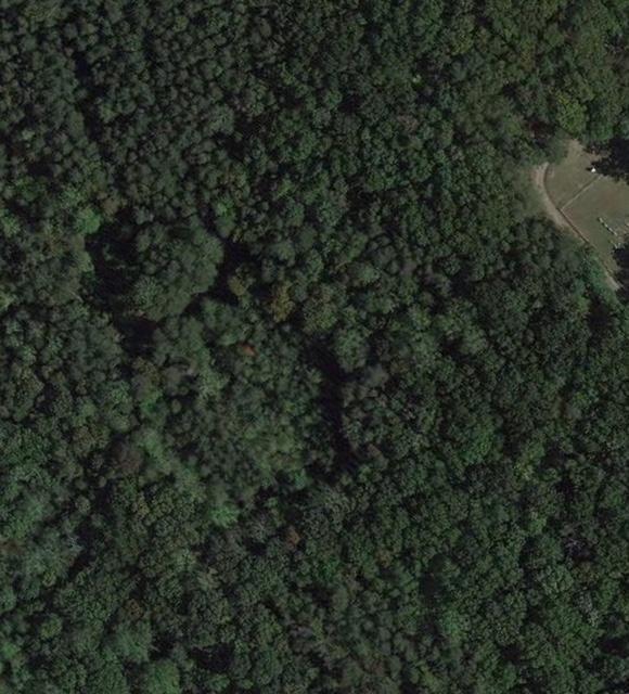 2331 Bowman Road Soddy Daisy, TN 37379 - Photo 1 of 1 20180403134013337037000000-o