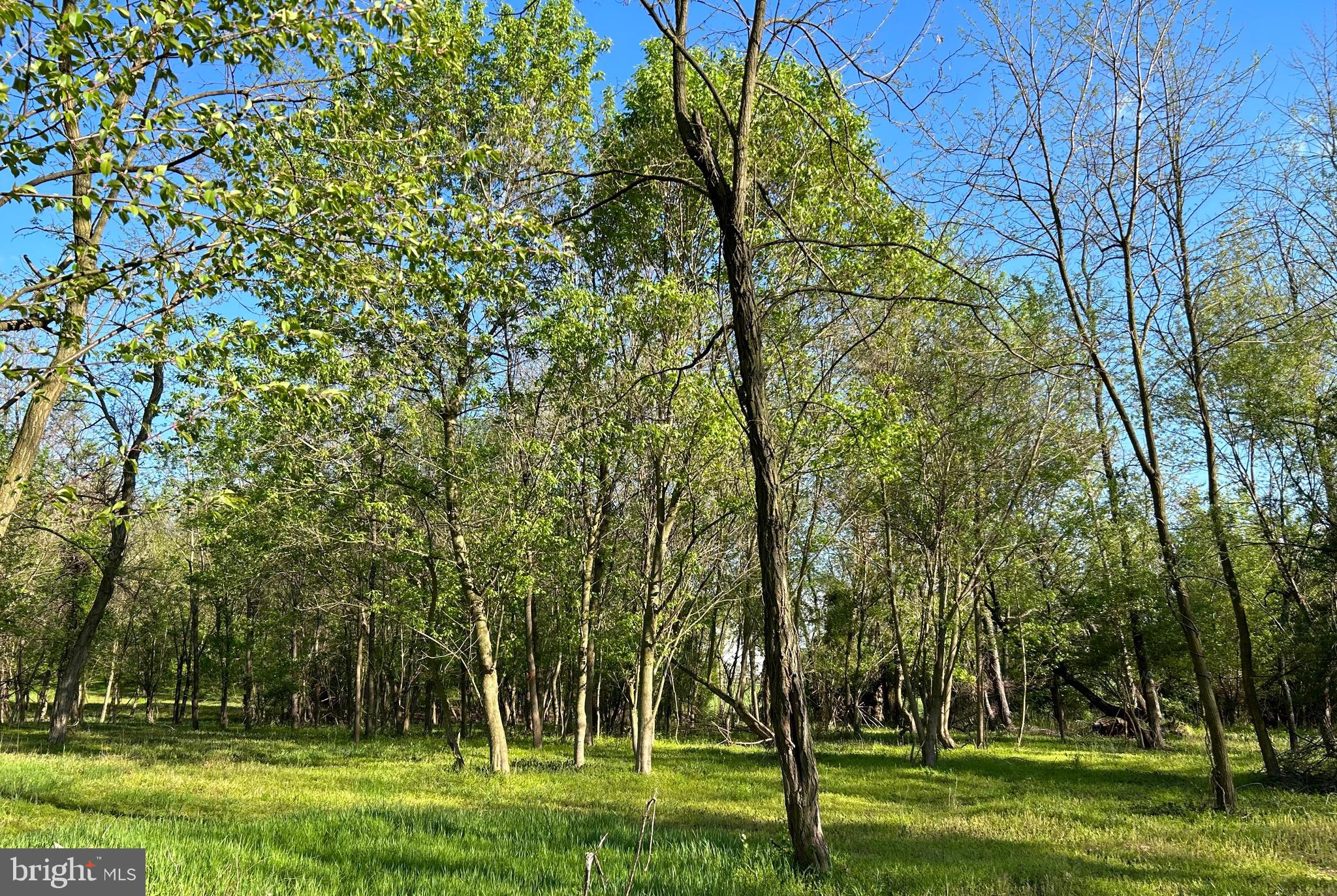 3 Sundays Lane Frederick, MD 21702 - Photo 3 of 3