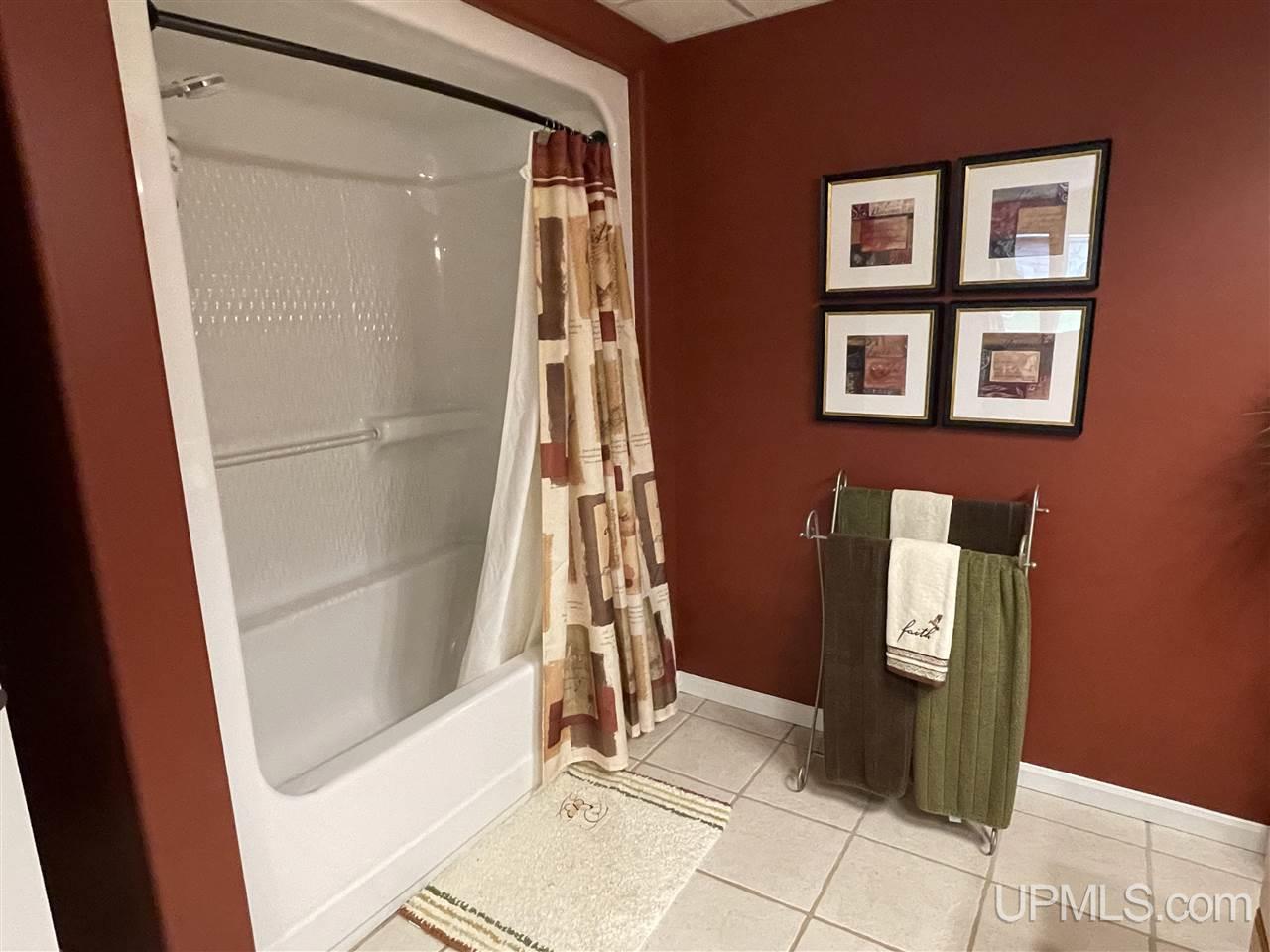 154 Lakeside Road Manistique, MI 49854 - Photo 36 of 55 Gallery Image 36