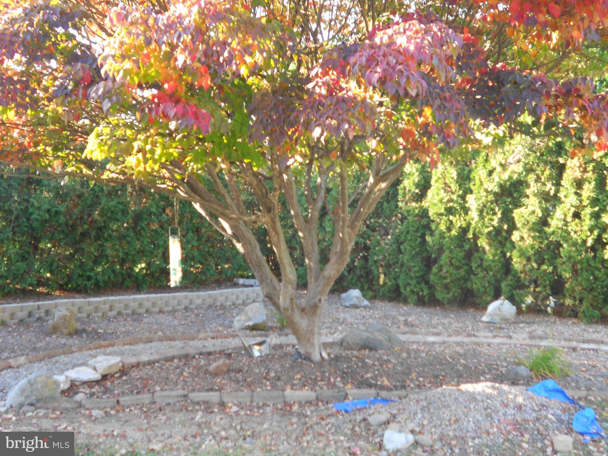 3453 Santee Road Bethlehem, PA 18017 - Photo 21 of 25 Backyard