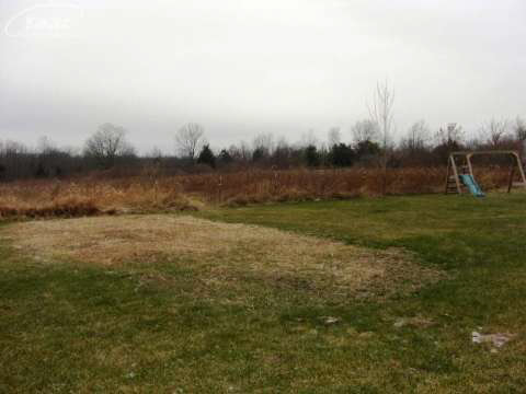 14320 Barnes Road Byron, MI 48418 - Photo 11 of 13 20387427-10.JPG