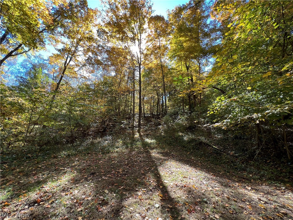4920 Rider Road Roseville, OH 43777 - Photo 23 of 35 Gallery Image 23