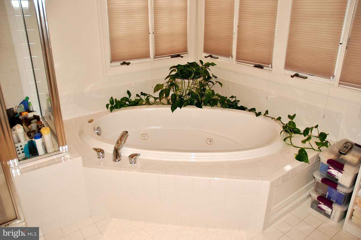 1121 Heartfields Drive Silver Spring, MD 20904 - Photo 18 of 27 Bath (Master)