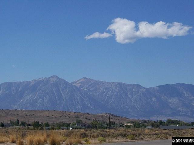 2448 Mount Como Road Gardnerville, NV 89410 - Photo 3 of 3 Photo 3