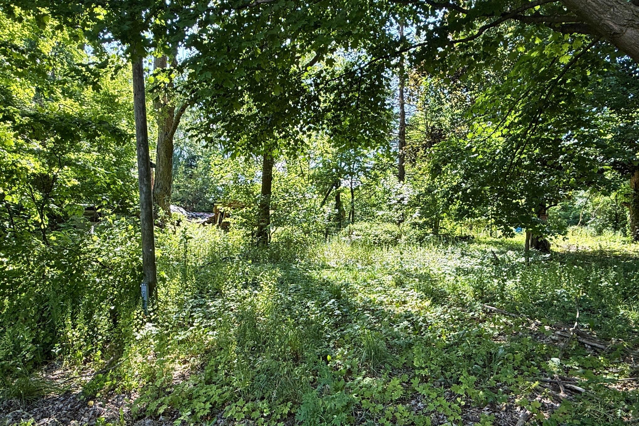 15630 South Enzian Road Plainwell, MI 49080 - Photo 5 of 7 5 _ 15630 Enzian