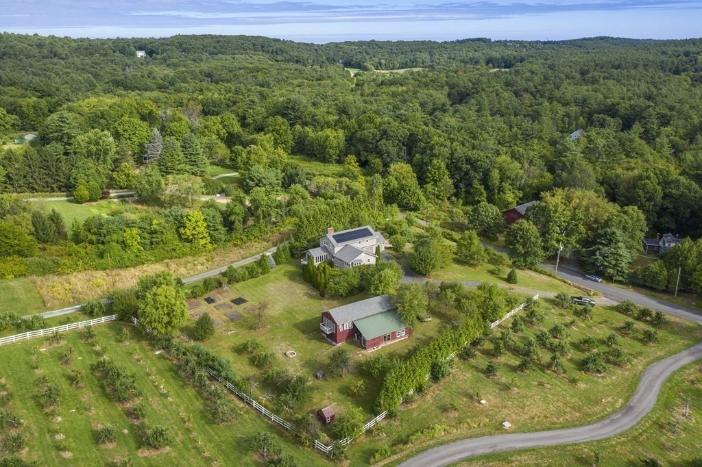 62 Westcott Road Harvard, MA 01451 - Photo 2 of 42 a view of a forest with a street