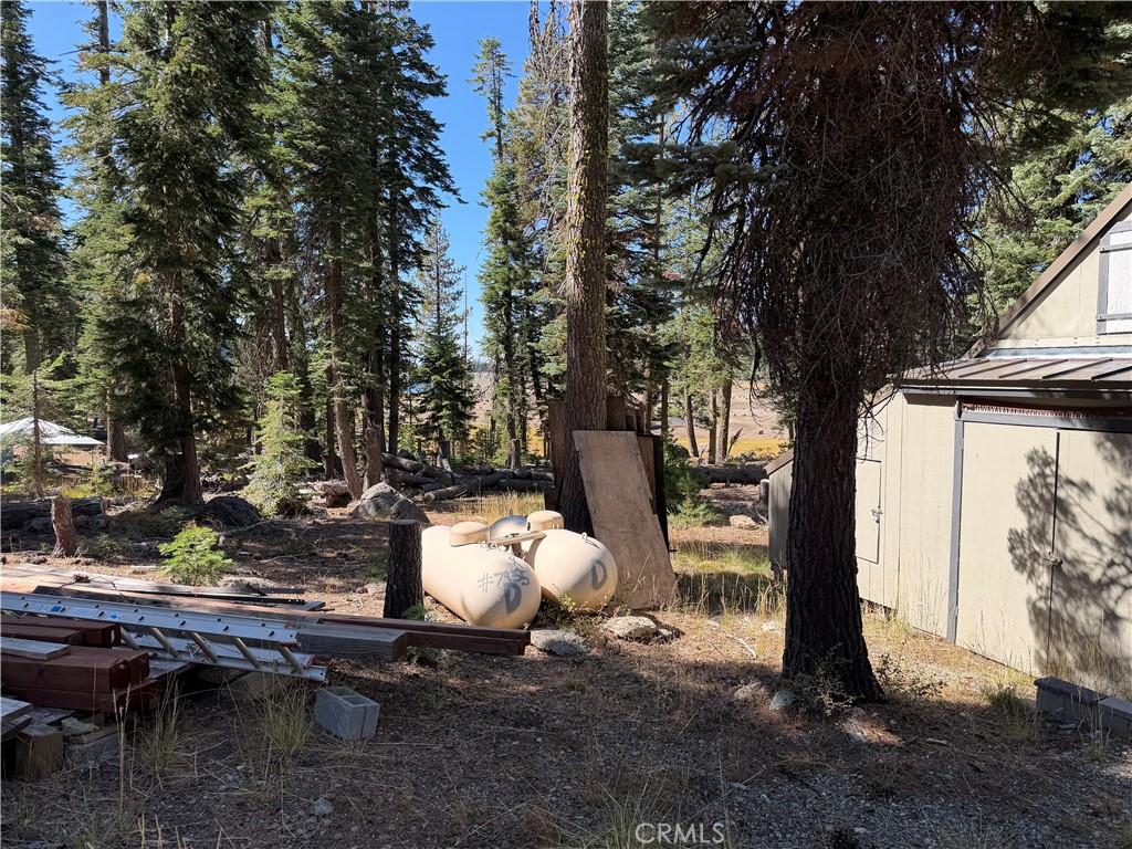 0 Philbrook Road, Unit D Forest Ranch, CA 95942 - Photo 4 of 7 Gallery Image 4