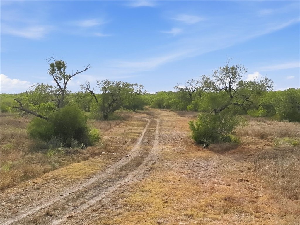 1991 South Highway 37 Three Rivers, TX 78071 - Photo 43 of 60 Gallery Image 43