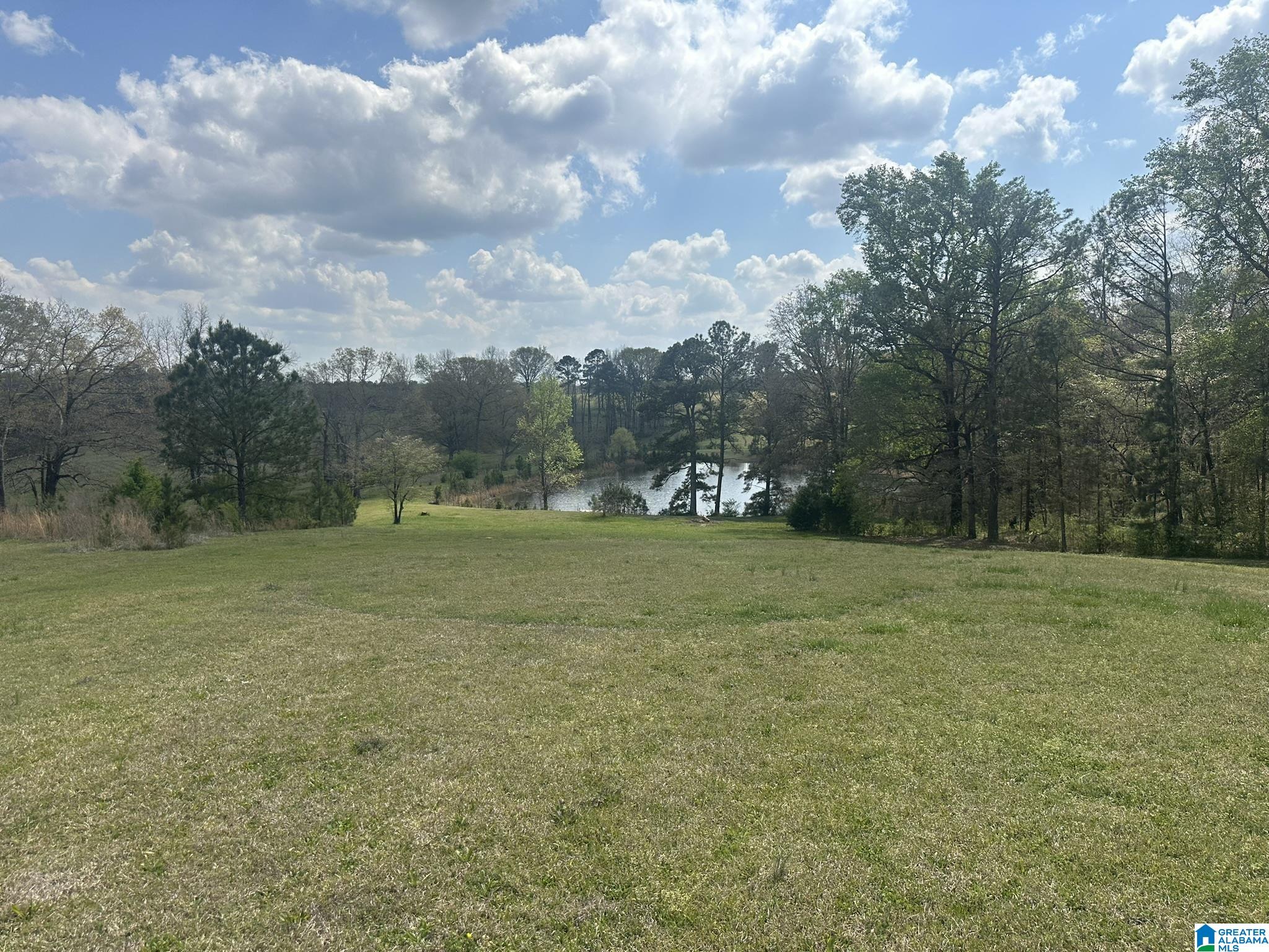 75 Mary Lee Lane Alpine, AL 35014 - Photo 18 of 77